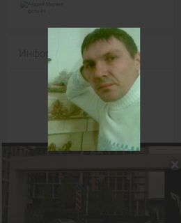 Клевер — фото 2